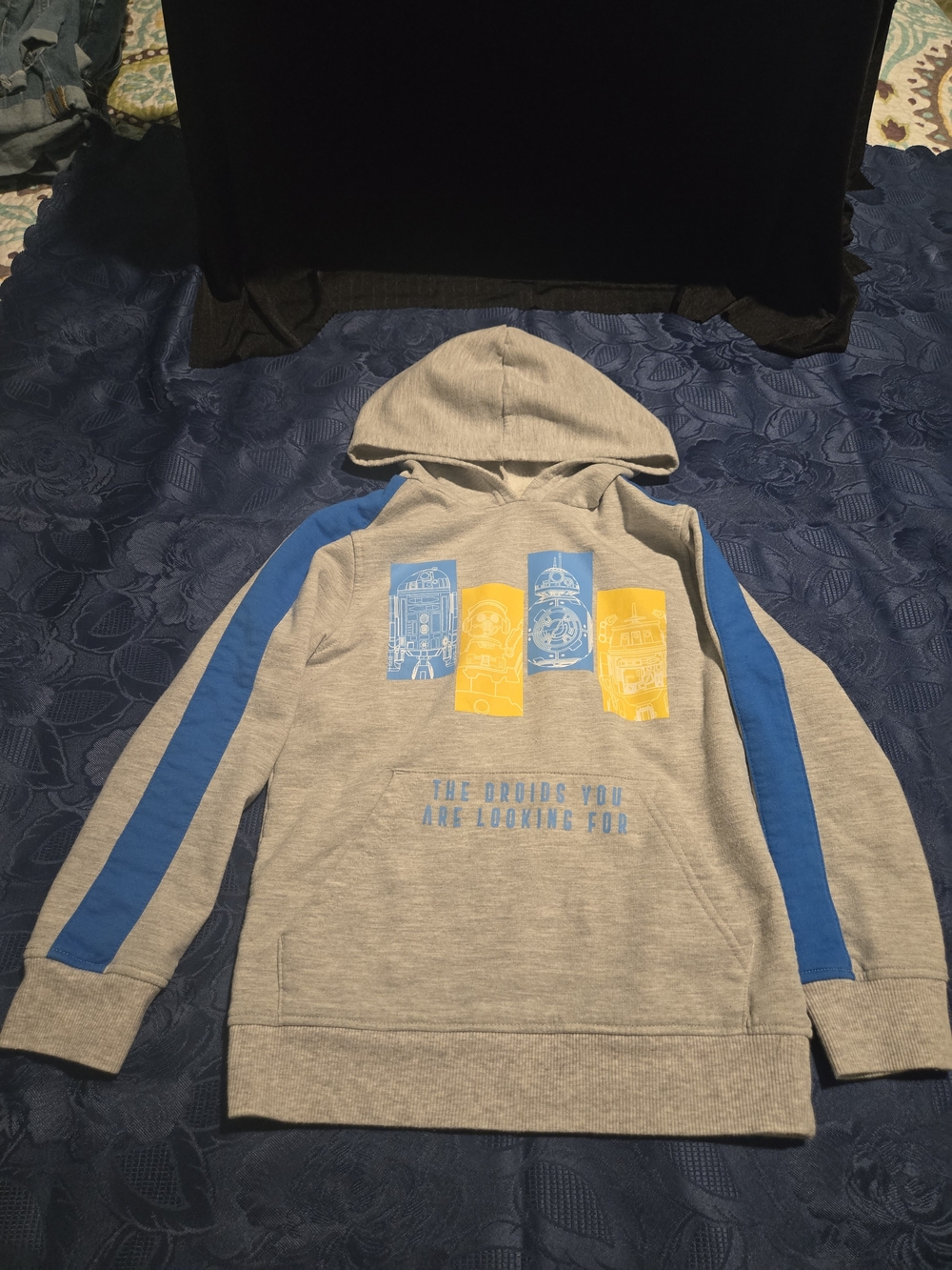 Kids Star Wars Hooded Sweatshirt with Character Print